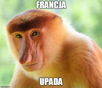 OddajButa123 - To który to już rok ta Francja upada? ( ͡° ͜ʖ ͡°)
#neuropa #urojeniap...