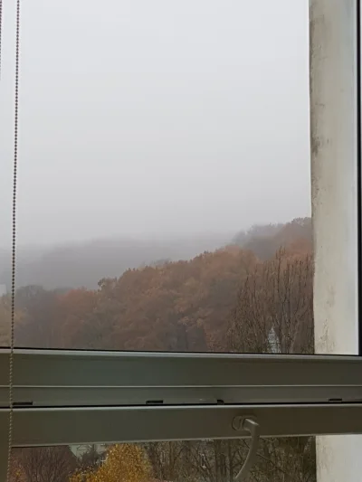 KamRadz - Halo halo #Gdańsk #Wrzeszcz. Jaka przyjemna mgiełka za oknem (｡◕‿‿◕｡)( ͡º ͜...