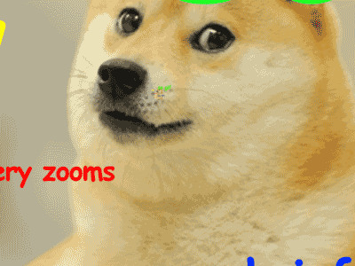 b.....a - #doge #tylkodoge #gif