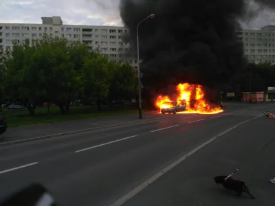 PeeWuu - godzinę temu na os lecha #poznan