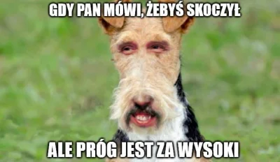 nexetpl - #bekazprawakow #neuropa #4kuce #korwin #krul
#heheszki