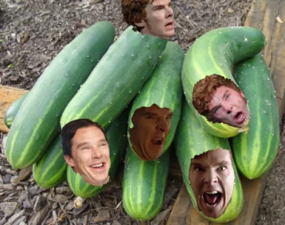 Pan_Buk - @asique: Nie Crumberbatcha tylko Cucumberbatcha!