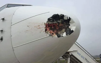 paprocyniok - @Mawak: Tak wygląda dziób 737 po zderzeniu z ptakiem. Ciepłym, miękkim ...