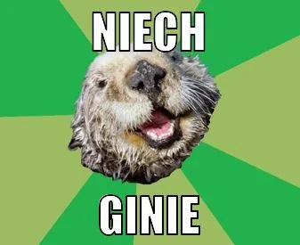 s.....j - @Wakazashi26: niech ginie!