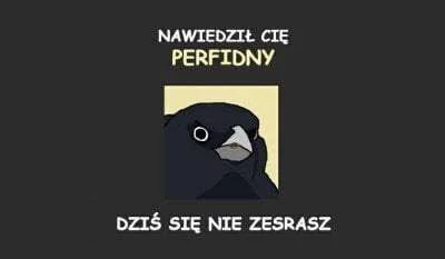 fsfdjf - macie wszyscy pozdrowienie od krula ptakuw @PerfidnyDwudziesty: