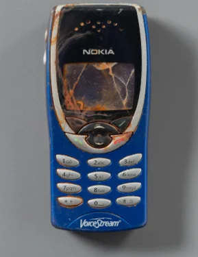 myrmekochoria - Nokia, która przetrwała