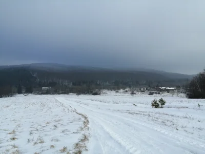 S.....n - Into the Wild - Podkarpacie edition. Zamiast samotnego busa stoją samotne P...