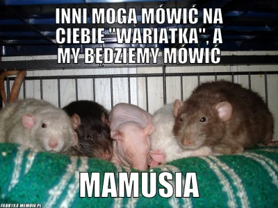 megson91 - moje córcie (⌒(oo)⌒)
- Poppy, Ahri, Łyżwa, Nami i Lulu
#szczur #szczury ...