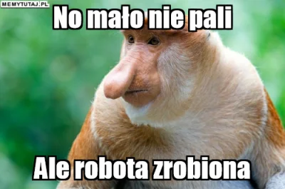 PawelW124 - #humor #heheszki #nosaczsundajski #nosacz #polak #rolnictwo #traktorboner...