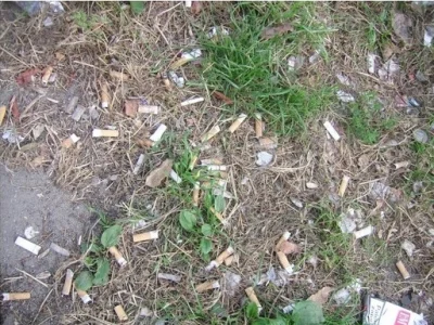 w.....z - @wypokek: Lewandowski k---a!!!