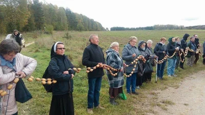 Pszczewiak - Polskie granice w związku z kondonowirusem są zamykane
