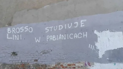 Queltas - Na murze karczmy "Martwa Gżegżółka" pojawiły się napisy szkalujące pewną ro...