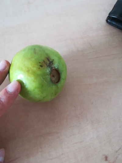 pszekurf - Koledzy, co to za owoc?
#pytanie