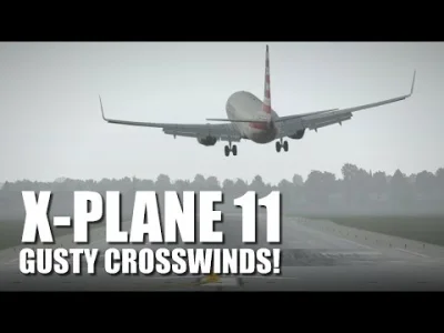 fajazdrowia - Lądowanie w x-plane