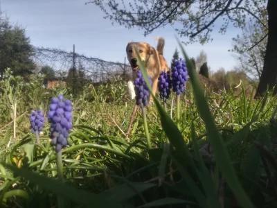 el_flaco - Siedem lat i dziewięć miesięcy na wypoku. Nigdy nie byłem w gorących. Mój ...