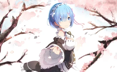 d.....g - #randomanimeshit #rezero #rezerokarahajimeruisekaiseikatsu #rem #maid @Kici...