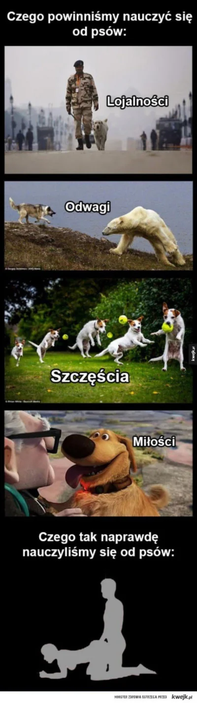 R.....l - Bardzo życiowe ( ͡° ͜ʖ ͡°)

#heheszki #humorobrazkowy #humor #smieszne #s...