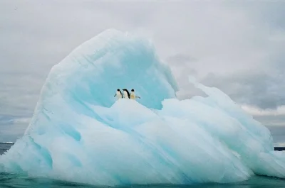 S.....r - MIEJSCE DNIA: Antarktyda cz7

#miejsca #antarktyda #zdjecia #fotografia
