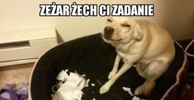 a.....x - @Paladin_Woodrugh: Przynieś mi na jutro swój stary zeszyt.