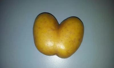 murarz13 - W miłości do ziemniaków tak zostałem wychowany. 



#oswiadczenie #heheszk...