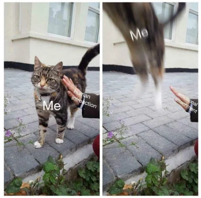 fsfdjf - tak to wygląda