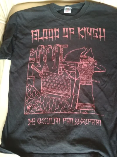 lordsekator - Gdybym miał wybrać swoje ulubione t-shirty, ta koszulka Blood Of Kingu ...