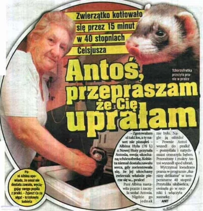 ozmo - Takie tytuły gazet ogłupieją polskie społeczeństo #wiadomosci #humor