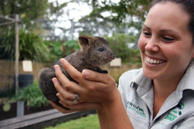 GraveDigger - #quokkanadzis w zastępstwie numer 3 :)

wołam do kuoki @GraveDigger: ...