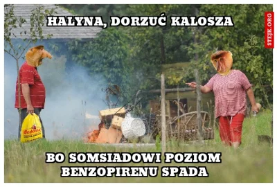 szkorbutny - @Blazeowsky: Polacy zatruwają powietrze i co?