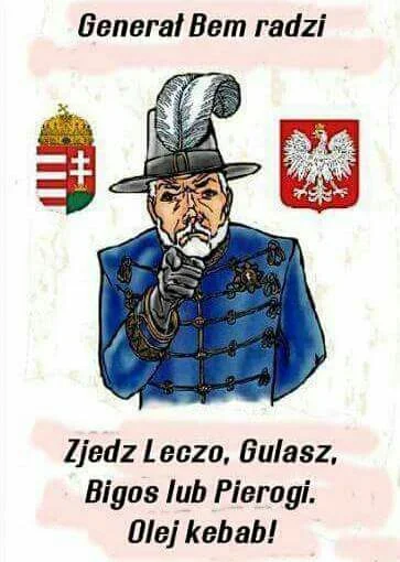 NapoleonV - #dobrarada #generalbemradzi #humorobrwzkowy #antyneuropa #niedlaislamizac...