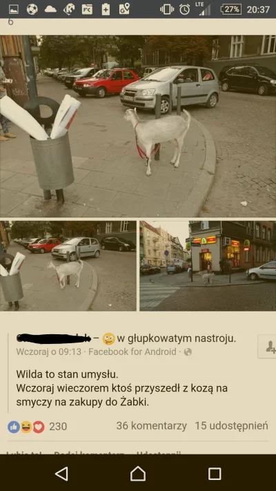 dejwo - Tak się żyje na tej wsi xD
#poznan #wilda