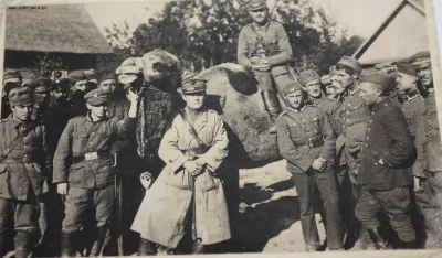 dertom - Polscy żołnierze z wielbłądem, najprawdopodobniej zdobytym na oddziałach kon...
