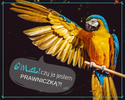 motaboy - Jeszcze o prawnikach, sędziach i prawie jako takim...

#sadownictwo #praw...