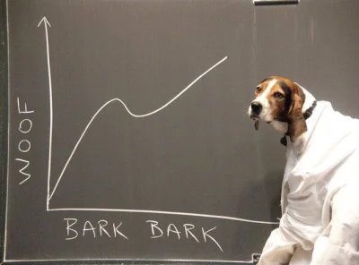 NorthSideMurderer - #doggo #scientist #heheszki #humorobrazkowy
