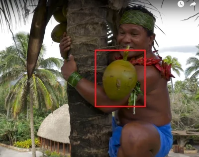 qpdb - kokos raczej mało zadowolony z takiego obrotu sprawy
( ͡° ͜ʖ ͡°)