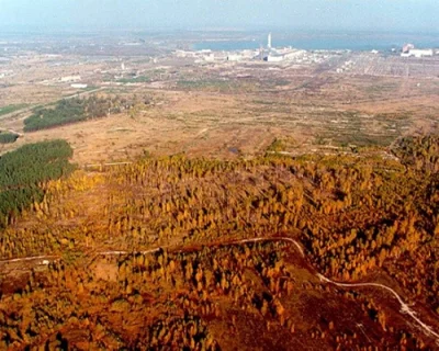 jmuhha - Widok "czerwonego lasu" po katastrofie w Czarnobylu. Był to iglasty lat na k...