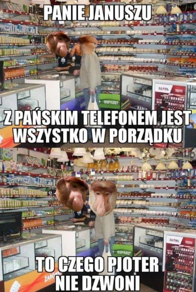 xtomek99 - #polak #nosaczsundajski #feels