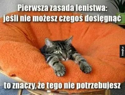 tuhna - Dzisiaj to zasługa pełnych brzuszków. 

#koty #heheszki