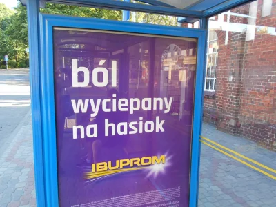 Pannoramix - No i co? A Wy dalej tylko polszczyzna i polszczyzna w marketingu i rekla...