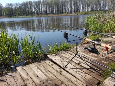 NiebieskaOsa - Dzisiaj trochę późniejsze rozpoczęcie #wedkarstwo ale ostatnia miejscó...