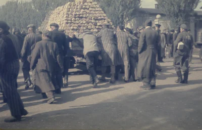 w.....s - Dachau, maj 1945 - autor zdjęcia płk Aleksander Żabin. Transport chleba dla...