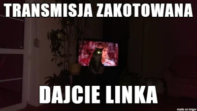 a.....r - #heheszki #humorobrazkowy #koty #siatkowka