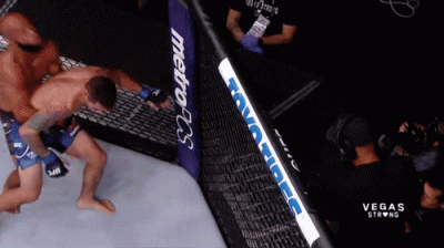JanSkrzetuski - Jakie to było zajebiste (ʘ‿ʘ)
#mma #ufc #gif #mmagif