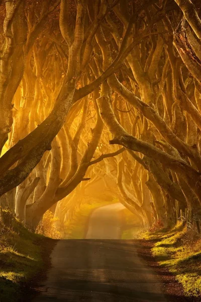 PiotrekPan - King's Road w Irlandii
#earthporn #fotografia #natura