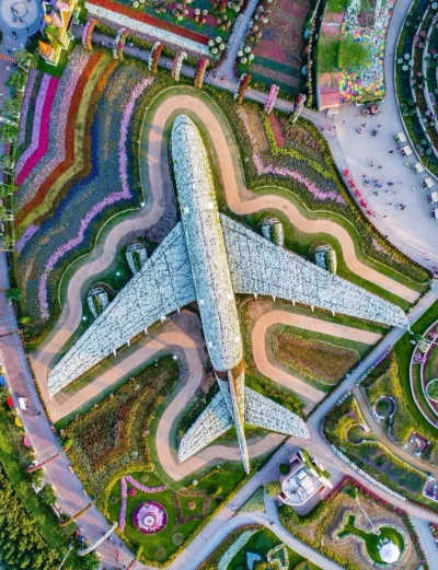 Castellano - Samolot AirPlane A380 w Miracle Garden w Dubaju jest największą instalac...