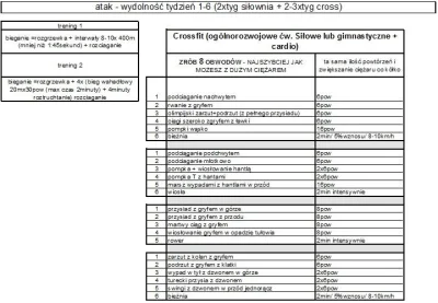 owsikalfred - Cros fitowy oraz biegowy plan jednej z czołowych Polskich drużyn rugby ...