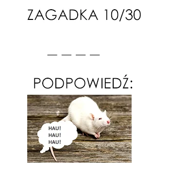 FHA96 - Zagadka 10/30

◘ Osoba, która pierwsza udzieli poprawnej odpowiedzi otrzyma...