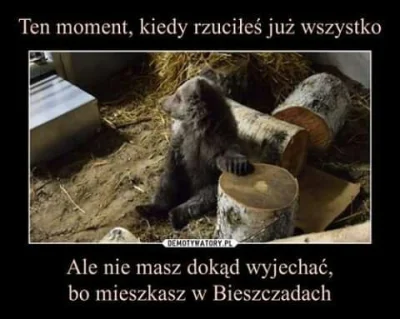 mysz_kulkowa - #demotyaledobre #bieszczady #heheheszki #humorobrazkowy