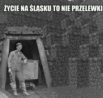 koneser_piekna - Takie życie