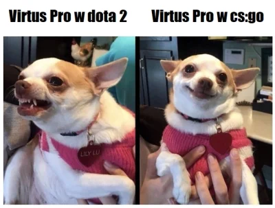 kicjow - #csgo #dota2 #heheszki